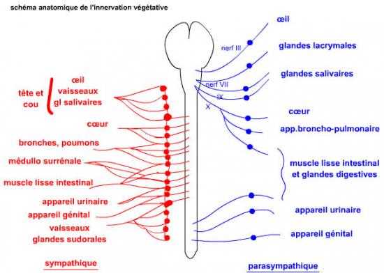 schema-sna.jpg