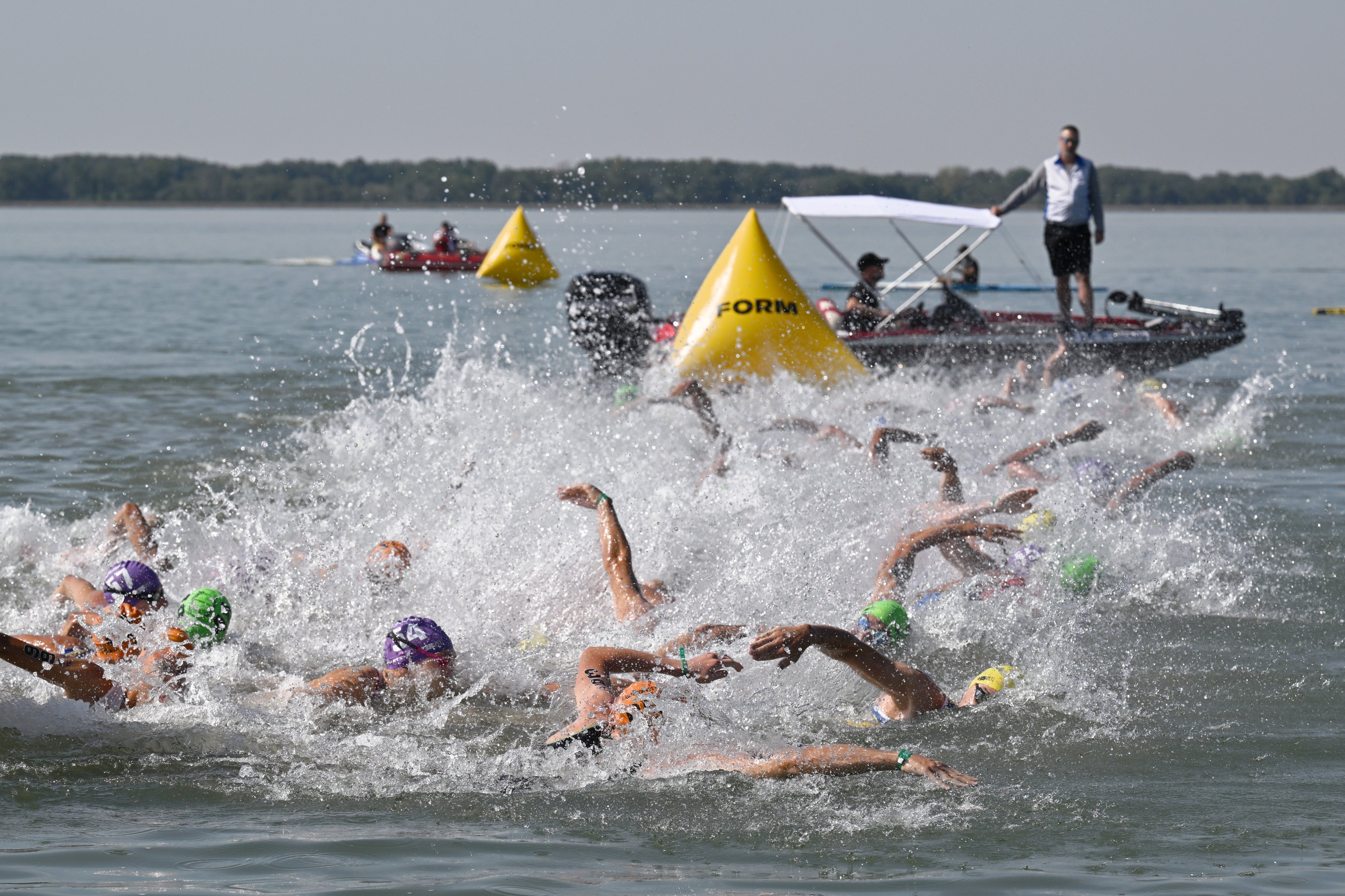 Officiel technique – Natation