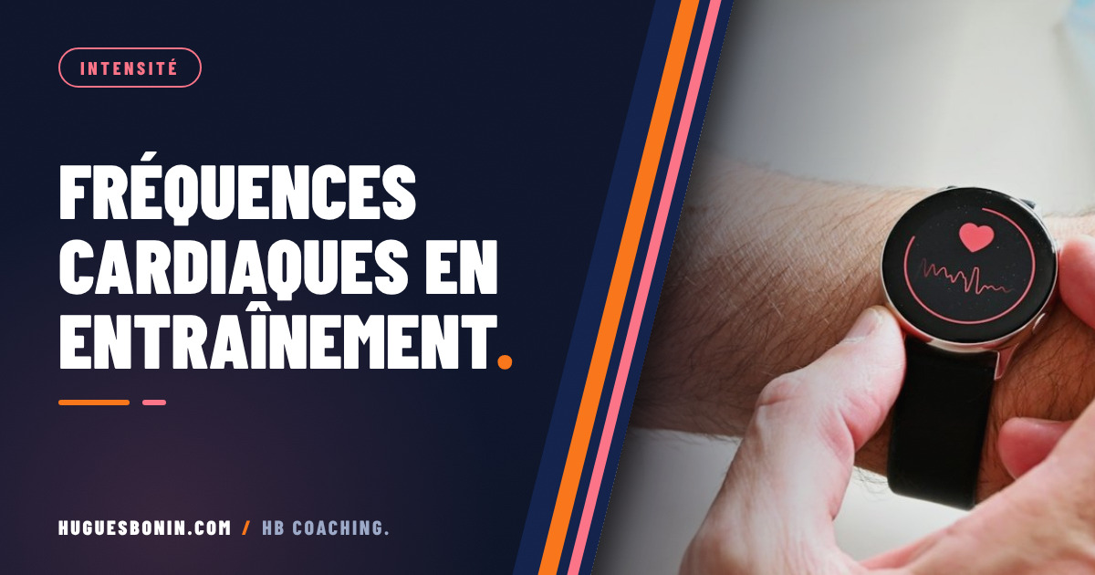 Vignette photo Fréquences cardiaques en entraînement